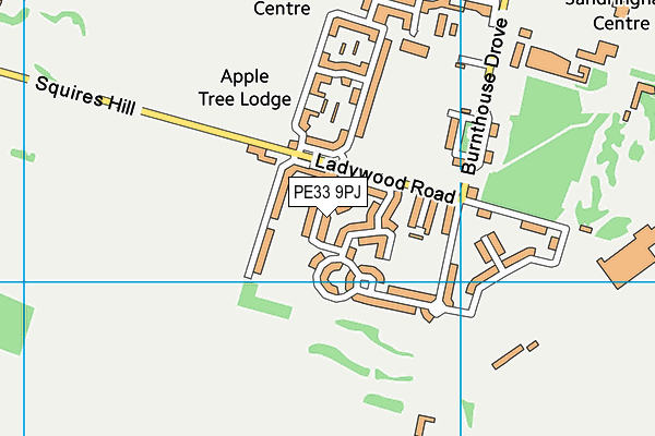 PE33 9PJ map - OS VectorMap District (Ordnance Survey) PE33 9PJ map - OS VectorMap District (Ordnance Survey)