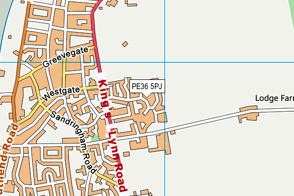 PE36 5PJ map - OS VectorMap District (Ordnance Survey) PE36 5PJ map - OS VectorMap District (Ordnance Survey)