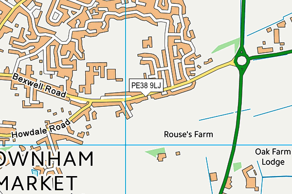 PE38 9LJ map - OS VectorMap District (Ordnance Survey) PE38 9LJ map - OS VectorMap District (Ordnance Survey)