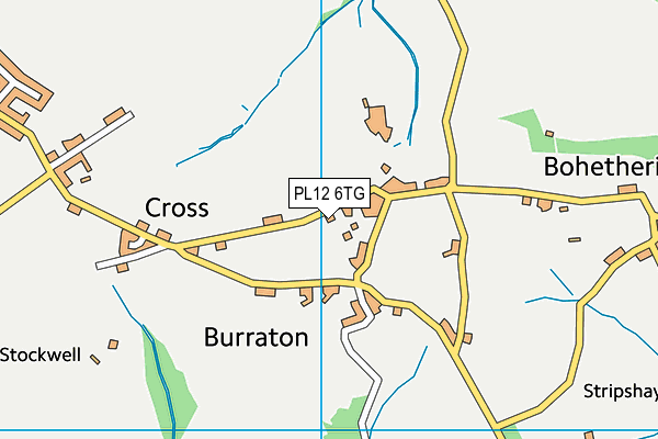 PL12 6TG map - OS VectorMap District (Ordnance Survey) PL12 6TG map - OS VectorMap District (Ordnance Survey)