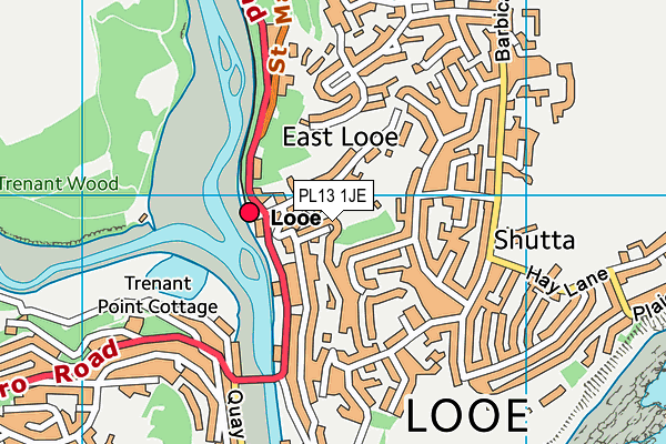 PL13 1JE map - OS VectorMap District (Ordnance Survey) PL13 1JE map - OS VectorMap District (Ordnance Survey)