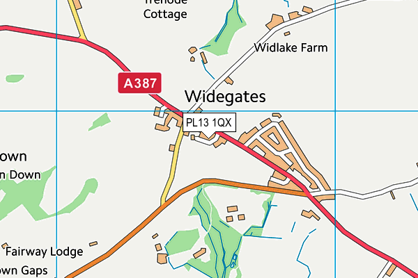 PL13 1QX map - OS VectorMap District (Ordnance Survey)