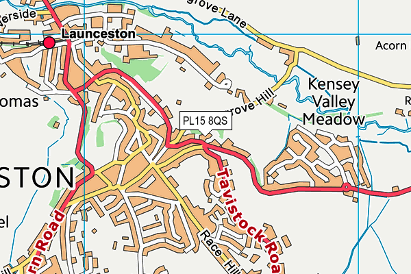 PL15 8QS map - OS VectorMap District (Ordnance Survey) PL15 8QS map - OS VectorMap District (Ordnance Survey)