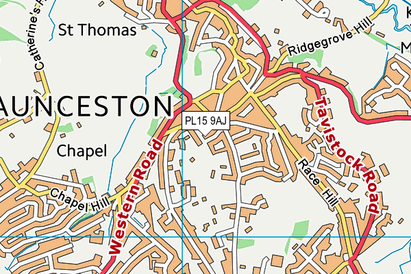 PL15 9AJ map - OS VectorMap District (Ordnance Survey) PL15 9AJ map - OS VectorMap District (Ordnance Survey)