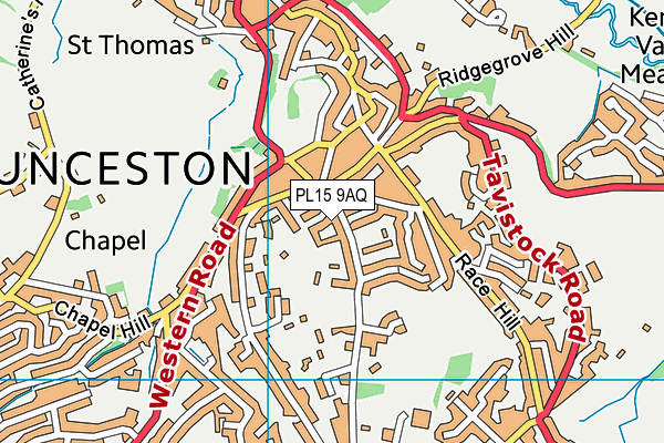 PL15 9AQ map - OS VectorMap District (Ordnance Survey) PL15 9AQ map - OS VectorMap District (Ordnance Survey)