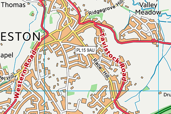 PL15 9AU map - OS VectorMap District (Ordnance Survey) PL15 9AU map - OS VectorMap District (Ordnance Survey)