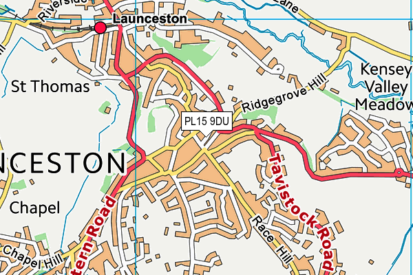 PL15 9DU map - OS VectorMap District (Ordnance Survey) PL15 9DU map - OS VectorMap District (Ordnance Survey)