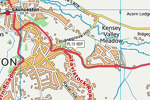 PL15 9EP map - OS VectorMap District (Ordnance Survey) PL15 9EP map - OS VectorMap District (Ordnance Survey)