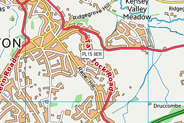 PL15 9ER map - OS VectorMap District (Ordnance Survey) PL15 9ER map - OS VectorMap District (Ordnance Survey)
