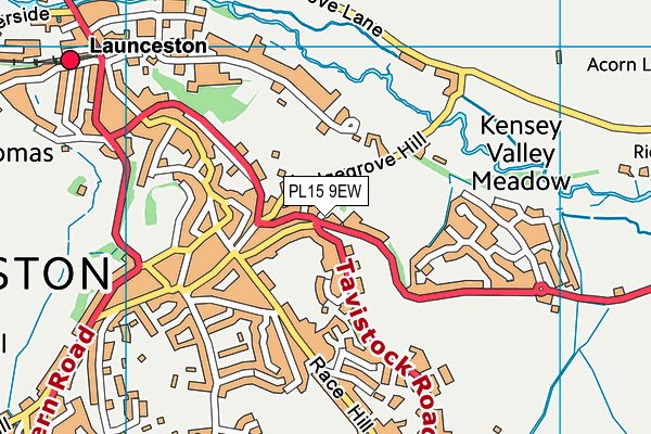PL15 9EW map - OS VectorMap District (Ordnance Survey) PL15 9EW map - OS VectorMap District (Ordnance Survey)