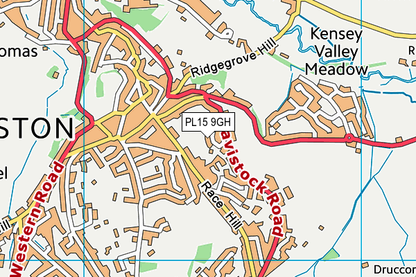 PL15 9GH map - OS VectorMap District (Ordnance Survey) PL15 9GH map - OS VectorMap District (Ordnance Survey)