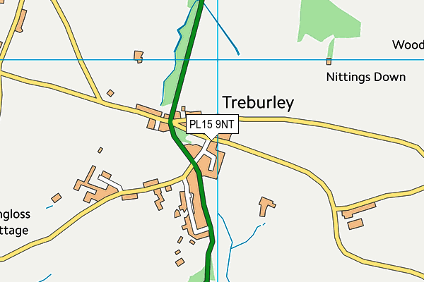 PL15 9NT map - OS VectorMap District (Ordnance Survey) PL15 9NT map - OS VectorMap District (Ordnance Survey)