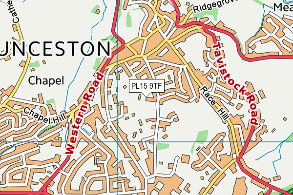 PL15 9TF map - OS VectorMap District (Ordnance Survey) PL15 9TF map - OS VectorMap District (Ordnance Survey)