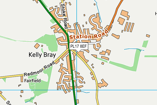 PL17 8EF map - OS VectorMap District (Ordnance Survey) PL17 8EF map - OS VectorMap District (Ordnance Survey)