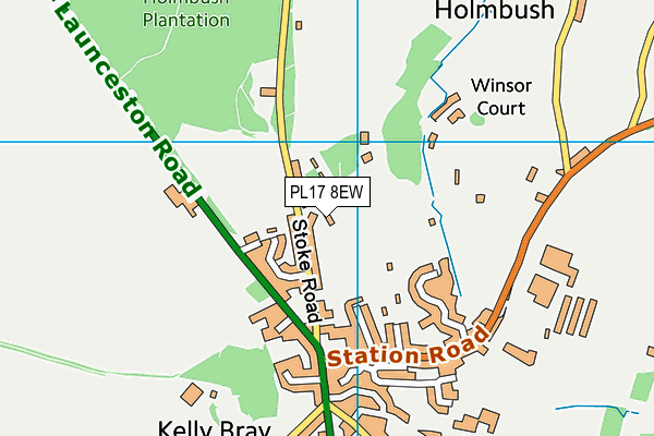 PL17 8EW map - OS VectorMap District (Ordnance Survey) PL17 8EW map - OS VectorMap District (Ordnance Survey)