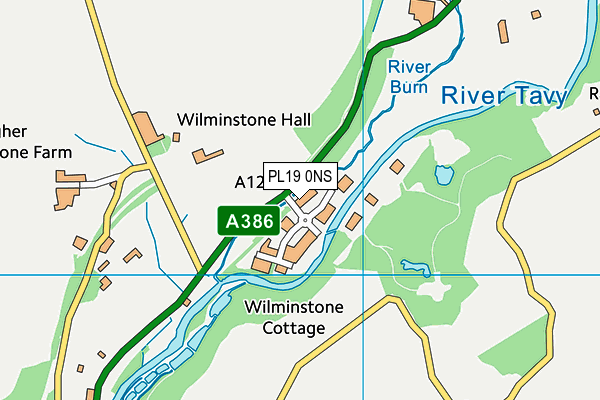 PL19 0NS map - OS VectorMap District (Ordnance Survey) PL19 0NS map - OS VectorMap District (Ordnance Survey)