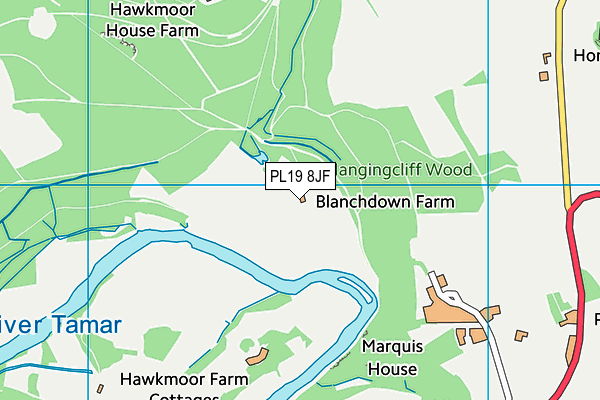 PL19 8JF map - OS VectorMap District (Ordnance Survey) PL19 8JF map - OS VectorMap District (Ordnance Survey)