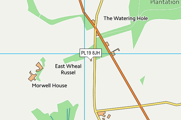 PL19 8JH map - OS VectorMap District (Ordnance Survey) PL19 8JH map - OS VectorMap District (Ordnance Survey)