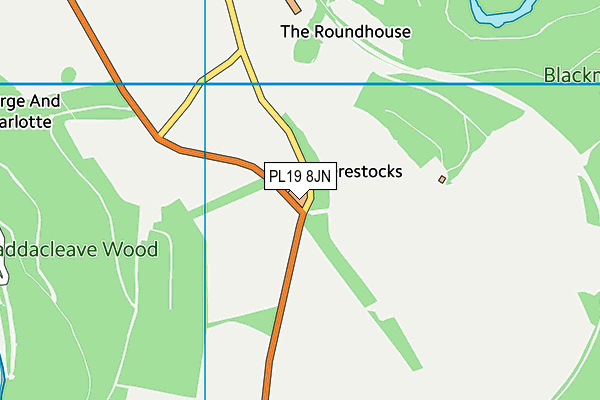PL19 8JN map - OS VectorMap District (Ordnance Survey) PL19 8JN map - OS VectorMap District (Ordnance Survey)
