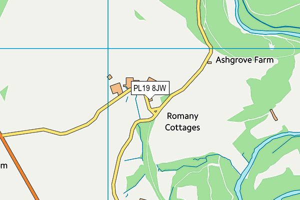 PL19 8JW map - OS VectorMap District (Ordnance Survey) PL19 8JW map - OS VectorMap District (Ordnance Survey)