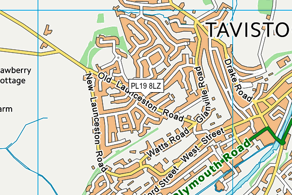 PL19 8LZ map - OS VectorMap District (Ordnance Survey) PL19 8LZ map - OS VectorMap District (Ordnance Survey)