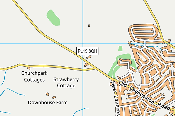 PL19 8QH map - OS VectorMap District (Ordnance Survey) PL19 8QH map - OS VectorMap District (Ordnance Survey)