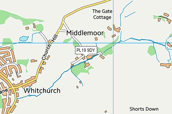 PL19 9DY map - OS VectorMap District (Ordnance Survey) PL19 9DY map - OS VectorMap District (Ordnance Survey)