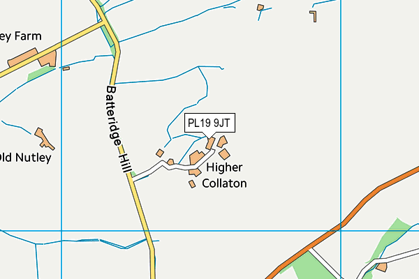 PL19 9JT map - OS VectorMap District (Ordnance Survey) PL19 9JT map - OS VectorMap District (Ordnance Survey)