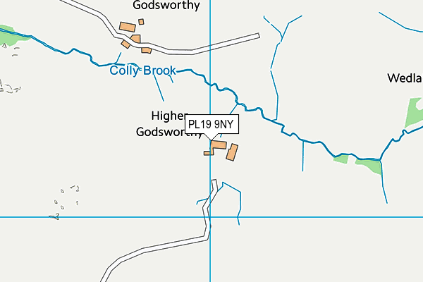 PL19 9NY map - OS VectorMap District (Ordnance Survey) PL19 9NY map - OS VectorMap District (Ordnance Survey)