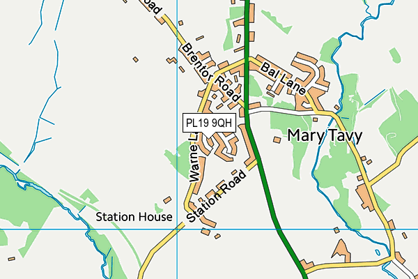 PL19 9QH map - OS VectorMap District (Ordnance Survey) PL19 9QH map - OS VectorMap District (Ordnance Survey)