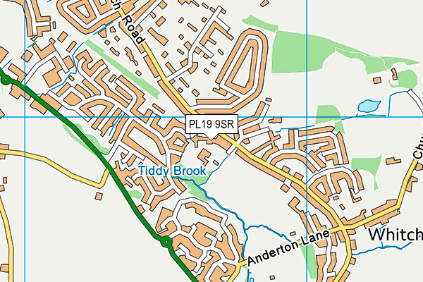 PL19 9SR map - OS VectorMap District (Ordnance Survey) PL19 9SR map - OS VectorMap District (Ordnance Survey)