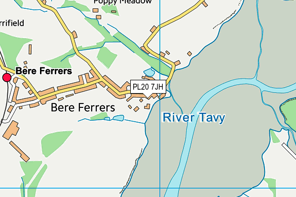 PL20 7JH map - OS VectorMap District (Ordnance Survey) PL20 7JH map - OS VectorMap District (Ordnance Survey)
