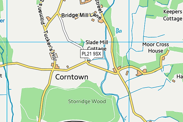 PL21 9SX map - OS VectorMap District (Ordnance Survey) PL21 9SX map - OS VectorMap District (Ordnance Survey)