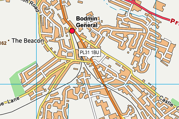 PL31 1BU map - OS VectorMap District (Ordnance Survey) PL31 1BU map - OS VectorMap District (Ordnance Survey)