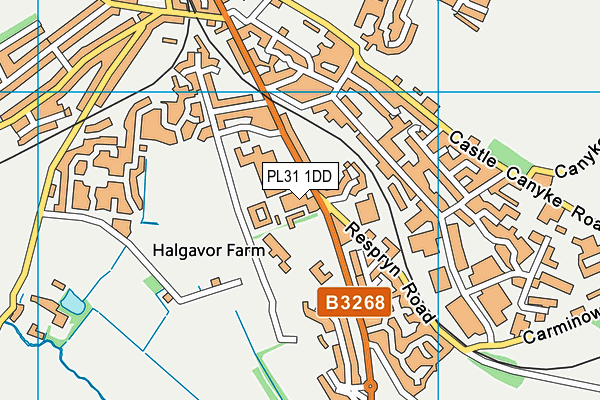 PL31 1DD map - OS VectorMap District (Ordnance Survey) PL31 1DD map - OS VectorMap District (Ordnance Survey)