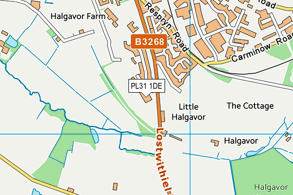 PL31 1DE map - OS VectorMap District (Ordnance Survey) PL31 1DE map - OS VectorMap District (Ordnance Survey)