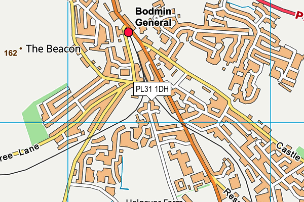 PL31 1DH map - OS VectorMap District (Ordnance Survey) PL31 1DH map - OS VectorMap District (Ordnance Survey)