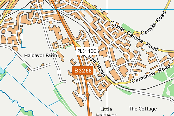 PL31 1DQ map - OS VectorMap District (Ordnance Survey) PL31 1DQ map - OS VectorMap District (Ordnance Survey)