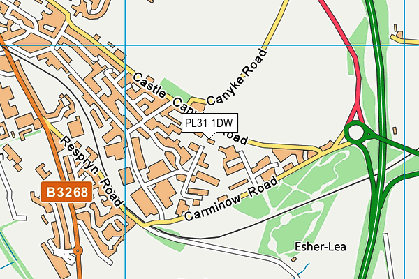 PL31 1DW map - OS VectorMap District (Ordnance Survey) PL31 1DW map - OS VectorMap District (Ordnance Survey)