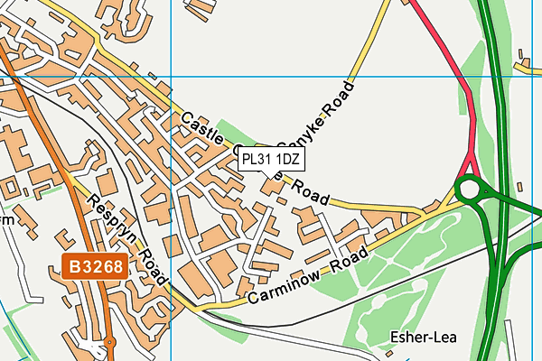 PL31 1DZ map - OS VectorMap District (Ordnance Survey) PL31 1DZ map - OS VectorMap District (Ordnance Survey)