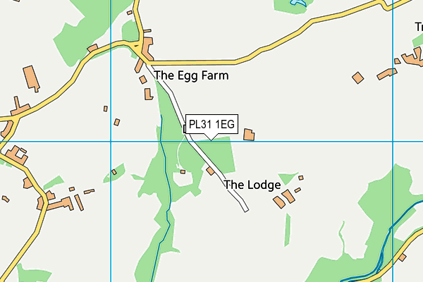 PL31 1EG map - OS VectorMap District (Ordnance Survey) PL31 1EG map - OS VectorMap District (Ordnance Survey)