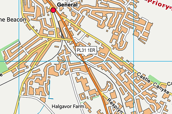 PL31 1ER map - OS VectorMap District (Ordnance Survey) PL31 1ER map - OS VectorMap District (Ordnance Survey)