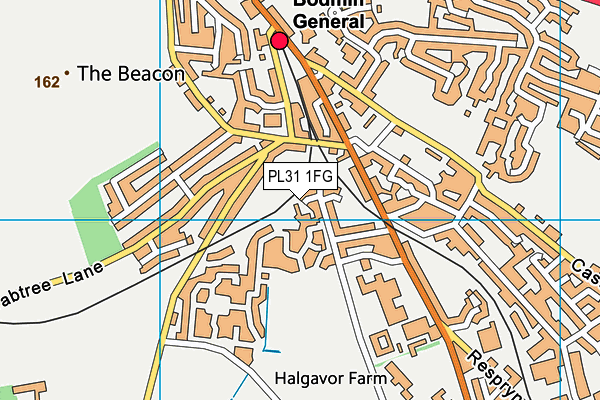 PL31 1FG map - OS VectorMap District (Ordnance Survey) PL31 1FG map - OS VectorMap District (Ordnance Survey)