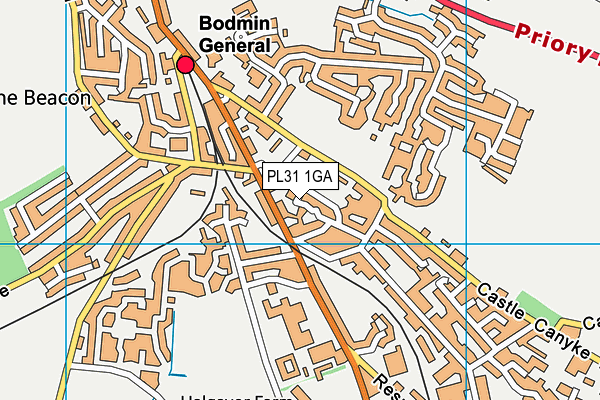 PL31 1GA map - OS VectorMap District (Ordnance Survey) PL31 1GA map - OS VectorMap District (Ordnance Survey)