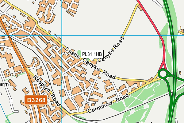 PL31 1HB map - OS VectorMap District (Ordnance Survey) PL31 1HB map - OS VectorMap District (Ordnance Survey)