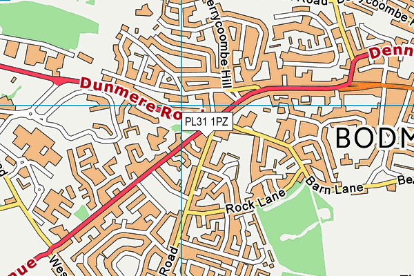 PL31 1PZ map - OS VectorMap District (Ordnance Survey) PL31 1PZ map - OS VectorMap District (Ordnance Survey)