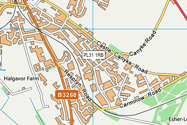 PL31 1RB map - OS VectorMap District (Ordnance Survey) PL31 1RB map - OS VectorMap District (Ordnance Survey)
