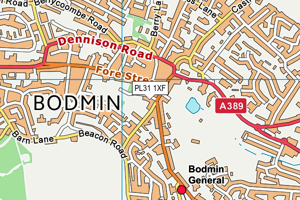 PL31 1XF map - OS VectorMap District (Ordnance Survey) PL31 1XF map - OS VectorMap District (Ordnance Survey)