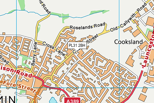 PL31 2BH map - OS VectorMap District (Ordnance Survey) PL31 2BH map - OS VectorMap District (Ordnance Survey)