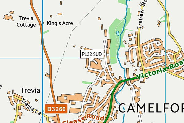 PL32 9UD map - OS VectorMap District (Ordnance Survey) PL32 9UD map - OS VectorMap District (Ordnance Survey)